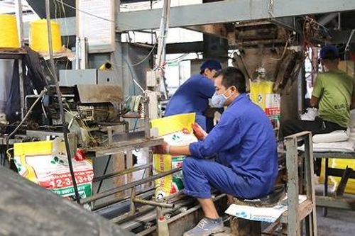Những 'cây sáng kiến'
