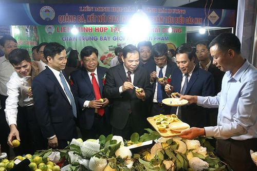 Khai mạc Hội chợ quảng bá, kết nối giao thương sản phẩm OCOP, nông sản tỉnh Phú Thọ năm 2020 và công bố Nhãn hiệu chứng nhận chè Phú Thọ
