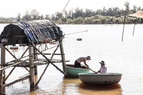 Người dân thôn Tùng Luật nỗ lực thoát nghèo