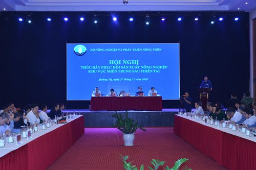 Thúc đẩy khôi phục sản xuất nông nghiệp khu vực miền Trung sau thiên tai
