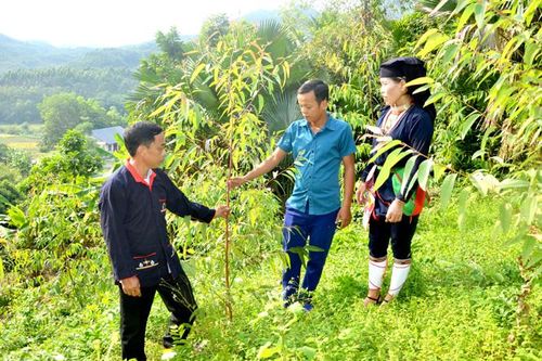 Linh hoạt công tác dân vận trong đồng bào dân tộc thiểu số