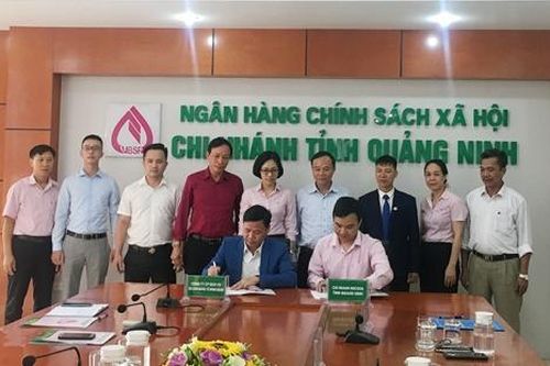 75 doanh nghiệp đã được vay vốn trả lương lao động ngừng việc