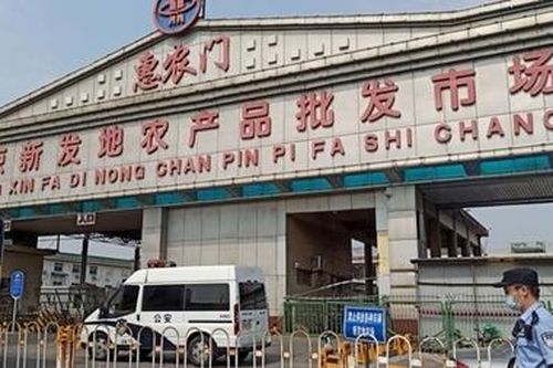 Trung Quốc tạm dừng hoạt động buôn bán tại chợ Tân Phát Địa