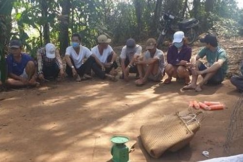 Tạm giữ 21 con bạc sát phạt trên trường gà