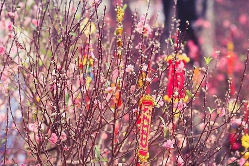 Thủ tướng chốt lịch nghỉ Tết Nguyên đán Tân Sửu 2021