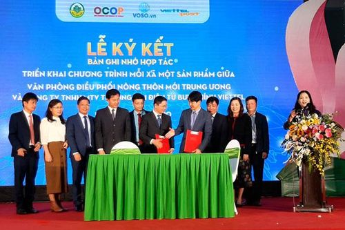 Đẩy mạnh xúc tiến thương mại sản phẩm OCOP