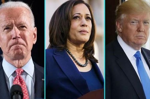 Ông Trump, ông Biden và bà Harris được đề cử là nhân vật của năm