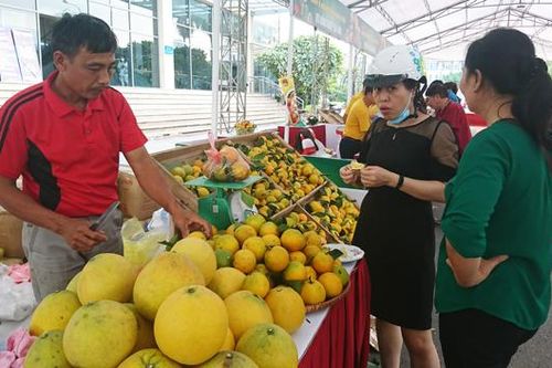 Tuần lễ cam Hưng Yên, mang đến người tiêu dùng Thủ đô những sản phẩm chất lượng