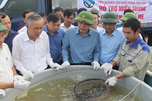 Tạo mọi nguồn lực để người dân sớm ổn định sản xuất