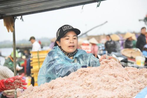 Ngư dân Hà Tĩnh trúng đậm ruốc biển, thu tiền triệu mỗi ngày