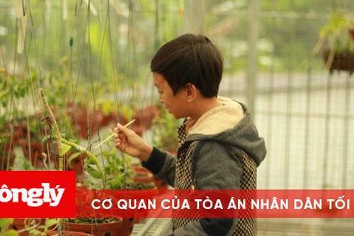 Mạnh Đinh: Chàng trai trẻ tìm hướng làm giàu từ mô hình trồng hoa phong lan