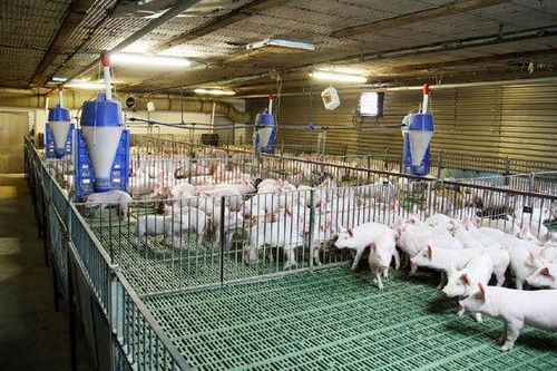 Quảng Bình: Khuyến khích đầu tư ứng dụng công nghệ cao vào sản xuất nông nghiệp