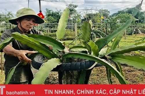 Nét thanh bình sau lũ ở khu dân cư mẫu Hà Tĩnh
