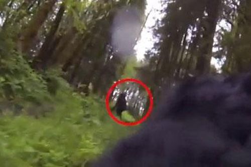Quay được hình ảnh quái vật Bigfoot ở rừng?