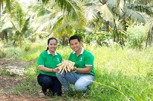 CEO Sokfarm: Thần Dừa đã độ trên con đường khởi nghiệp mang mật hoa dừa vượt biên giới