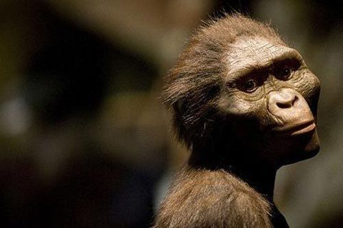 Phát hiện mới về người tiền sử