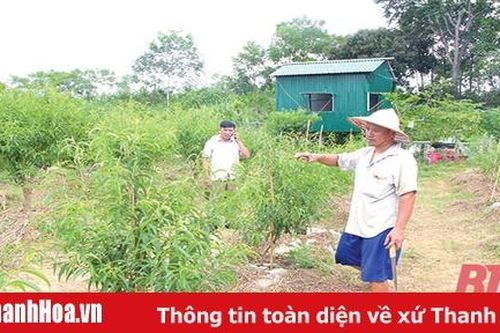 Huyện Như Thanh nhân rộng mô hình sản xuất nông nghiệp hiệu quả
