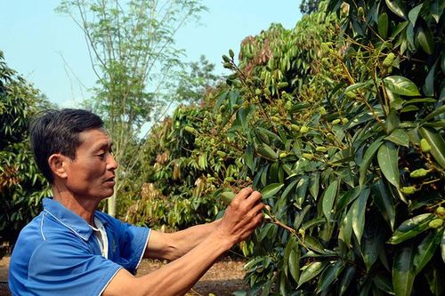 Sử dụng nguồn lực đầu tư hiệu quả và tích cực