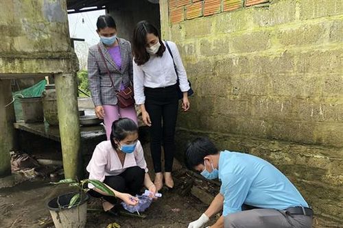 Ghi nhận nhiều trường hợp mắc bệnh Whitmore tại Quảng Trị