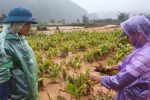 Khi đồng ruộng thừa... phù sa