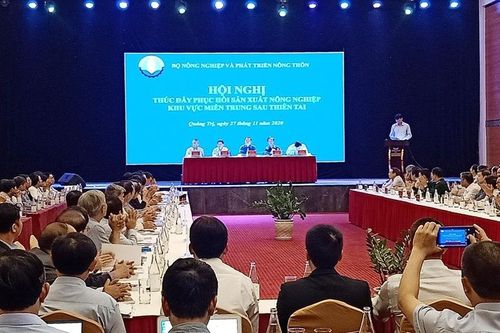 Thúc đẩy sản xuất nông nghiệp khu vực miền Trung sau lũ