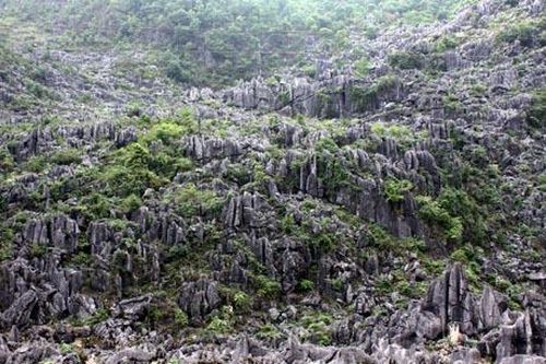 Kỷ niệm 10 năm Cao nguyên đá Đồng Văn gia nhập Công viên địa chất toàn cầu