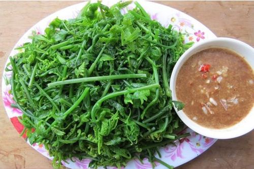 Các món rau rừng đắt giá được nhiều người dân thành phố săn lùng