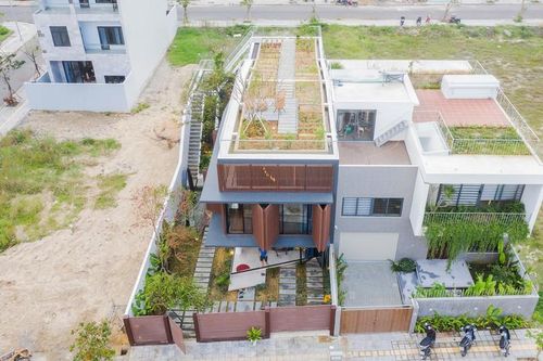 Ngôi nhà 'độc nhất vô nhị' trồng cả vườn cây trên mái ở Đà Nẵng