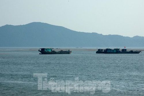 Dân phản đối đại dự án khai thác cát biển vùng biên: Tỉnh Quảng Ninh nói gì?
