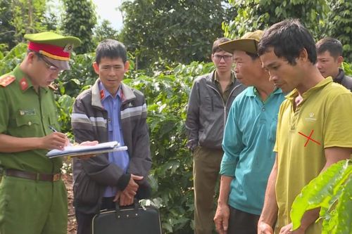 Kẻ chuyên trộm cắp và phá hoại sầu riêng, hồ tiêu sa lưới
