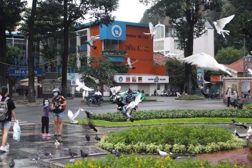 Người dân Sài Gòn đội mưa, đưa con đến nhà thờ chơi cùng bồ câu