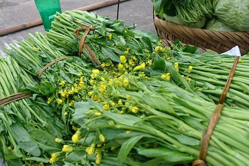 Rau cải ngồng đắng trồng tự nhiên trên núi đá Lạng Sơn được bà nội trợ yêu thích