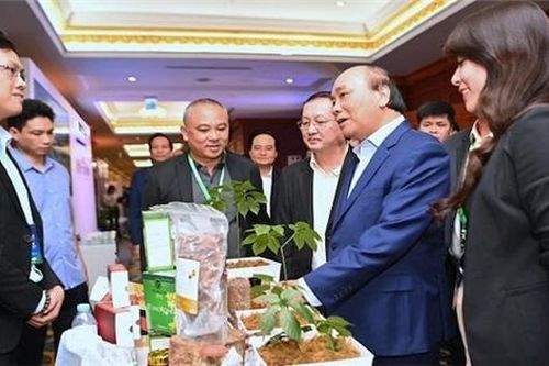 Gỡ vướng cho khởi nghiệp