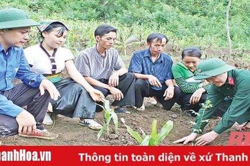 Đẩy mạnh trồng, chăm sóc, bảo vệ rừng
