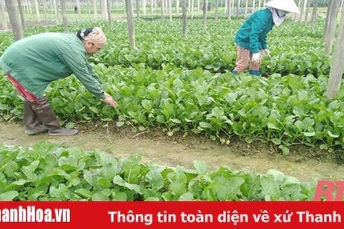 Đảng bộ xã Thọ Hải tập trung khắc phục hạn chế, yếu kém