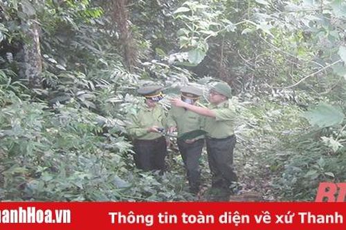 Quản lý, bảo vệ và phát triển rừng trên địa bàn huyện Bá Thước