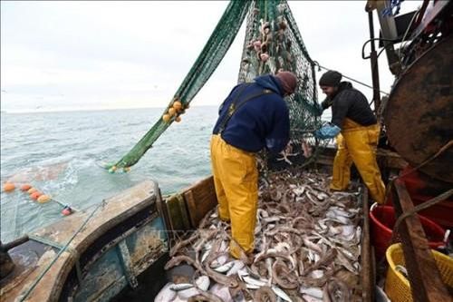 Vòng đàm phán giữa Liên minh châu Âu EU và Anh bất ngờ có đột phá mới