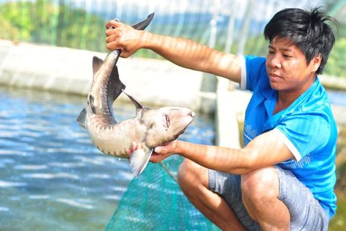 Giảm nghèo bền vững từ phát triển kinh tế