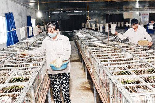 Ðẩy mạnh chương trình xây dựng nông thôn mới
