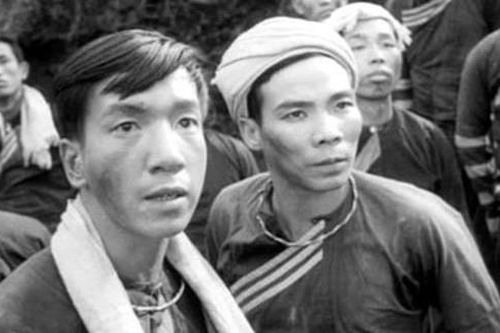 Tuần phim Việt trên VTV Go
