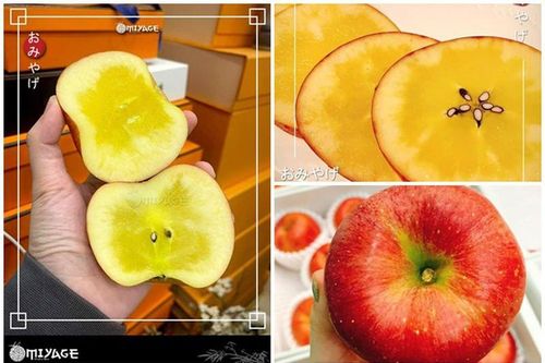 Bật mí loại táo mật Nhật Bản nhà giàu Việt 'đổ' tiền tỷ mua tẩm bổ