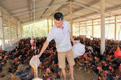 Thái Nguyên: Xã nghèo nỗ lực vượt khó xây dựng NTM