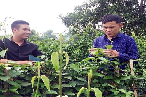 Phú Lương - Thái Nguyên: Nông thôn mới mang lại diện mạo mới