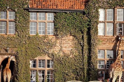 Những khách sạn đẹp và 'dị' nhất thế giới