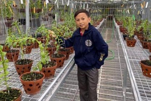 Mạnh Đinh: Chàng trai 8X nuôi dưỡng ước mơ làm giàu từ hoa phong lan