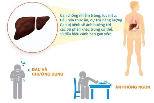 Các dấu hiệu thấy rõ cảnh báo người bị bệnh gan
