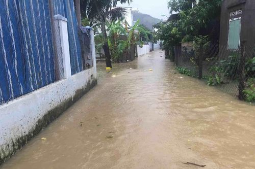 Hơn 15.000 sinh viên Nha Trang chuyển qua học trực tuyến vì mưa lũ