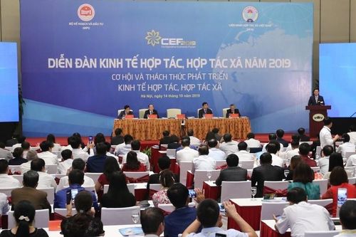 Tổ chức Diễn đàn kinh tế tập thể, hợp tác xã vào ngày 11/12