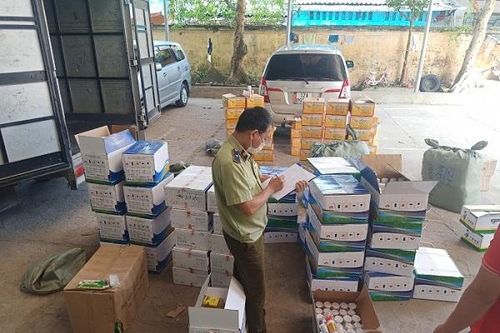 Lạng Sơn: Bắt giữ hơn 12.000 sản phẩm thuốc bảo vệ thực vật nhập lậu