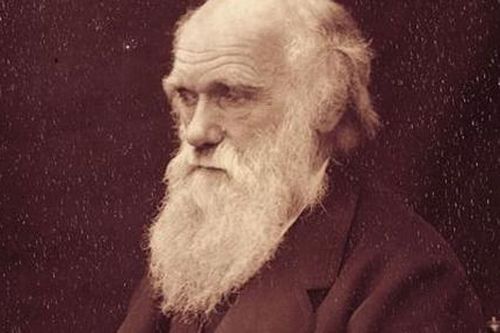 Hé lộ bí ẩn về cái chết của Charles Darwin